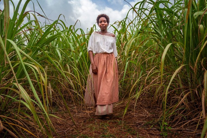 In a publicity shot for The Long Song, Tamara Lawrance walks through a field through long grass looking towards the camera